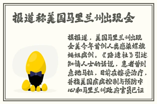 公园里的老年镖客视频大全